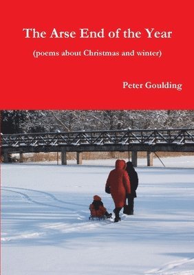 Peter Goulding - arse end of the year, Häftad. Tillgänglighet: Lägg i varukorg