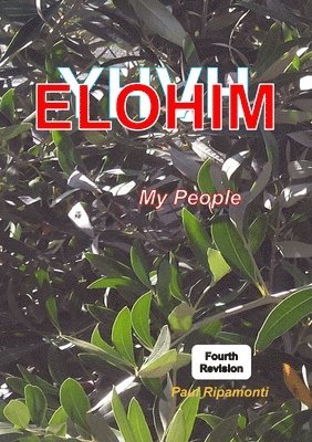 Paul Ripamonti - YHVH Elohim My people, Häftad