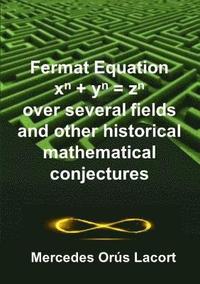 Fermat Equation over several fields and other historical mathematical conjectures