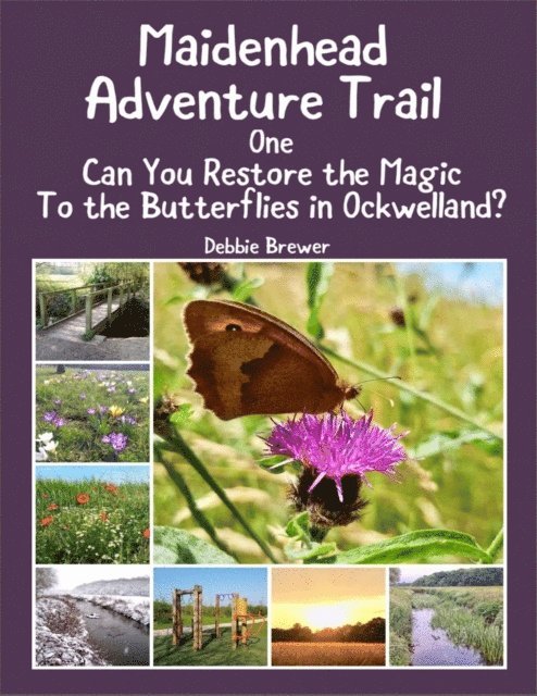 Debbie Brewer - Maidenhead Adventure Trail One, Can You Restore the Magic to the Butterflies In Ockwelland?, E-bok
