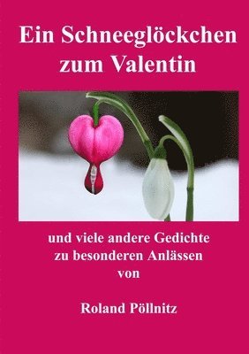 Roland Pöllnitz - Ein Schneeglöckchen zum Valentin, Häftad