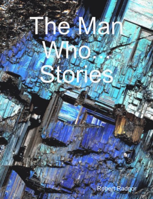 Robert Radnor - Man Who Stories, E-bok