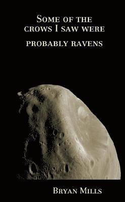 Bryan Mills - Some of the crows I saw were probably ravens, Häftad. Tillgänglighet: Lägg i varukorg