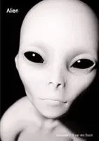 Alexander P. M. Van Den Bosch - Alien, Häftad. Tillgänglighet: Lägg i varukorg