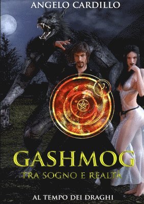 Angelo Cardillo - Gashmog - Tra sogno e realtà, Häftad