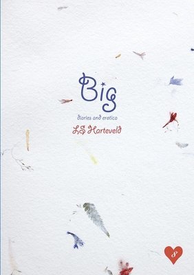 Big diaries and erotica