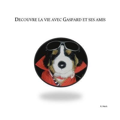 R Mach - DZcouvre la vie avec Gaspard et ses amis, Häftad