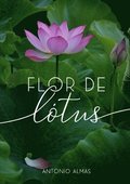 Flor de Lótus