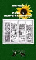 Stories of Improbable Encounters