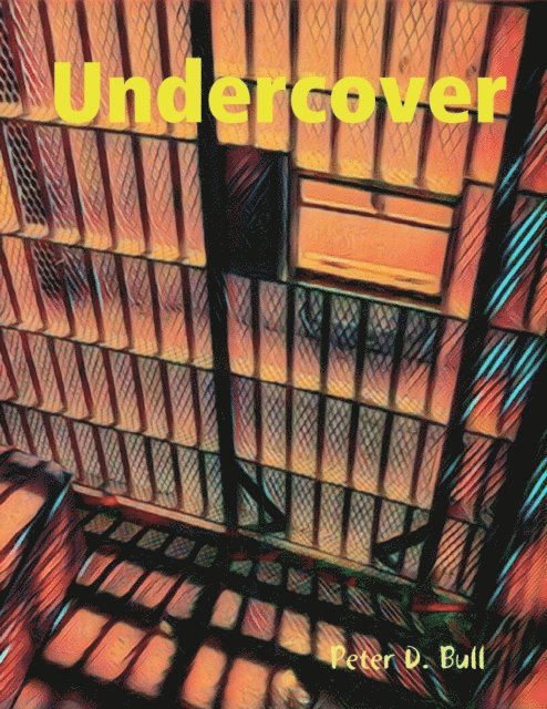Peter D. Bull - Undercover, E-bok