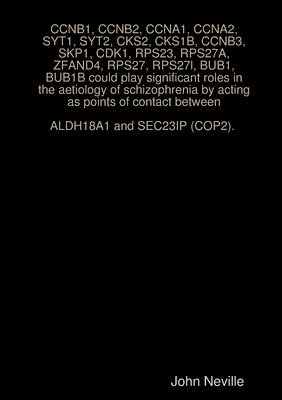 John Neville - CCNB1, CCNB2, CCNA1, CCNA2, SYT1, SYT2, CKS2, CKS1B, CCNB3, SKP1, CDK1, RPS23, RPS27A, ZFAND4, RPS27, RPS27l, BUB1, BUB1B could play significant roles in the aetiology of schizophrenia by acting as points of contact between ALDH18A1 and SEC23IP (COP2)., Häftad. Tillgänglighet: Lägg i varukorg