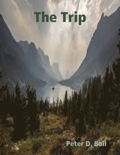 Peter D. Bull - Trip, E-bok