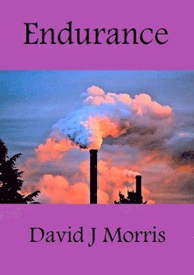 David J Morris - Endurance, Häftad. Tillgänglighet: Lägg i varukorg