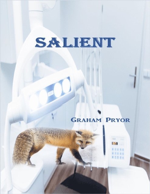 Graham Pryor - Salient, E-bok. Tillgänglighet: Lägg i varukorg
