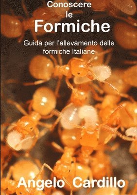 Angelo Cardillo - CONOSCERE LE FORMICHE, Häftad