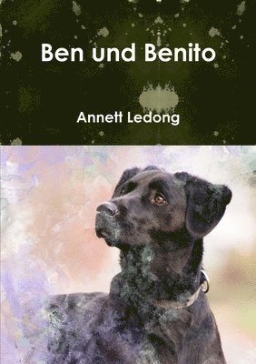 Annett Ledong - Ben und Benito, Häftad