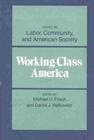 Working-Class America