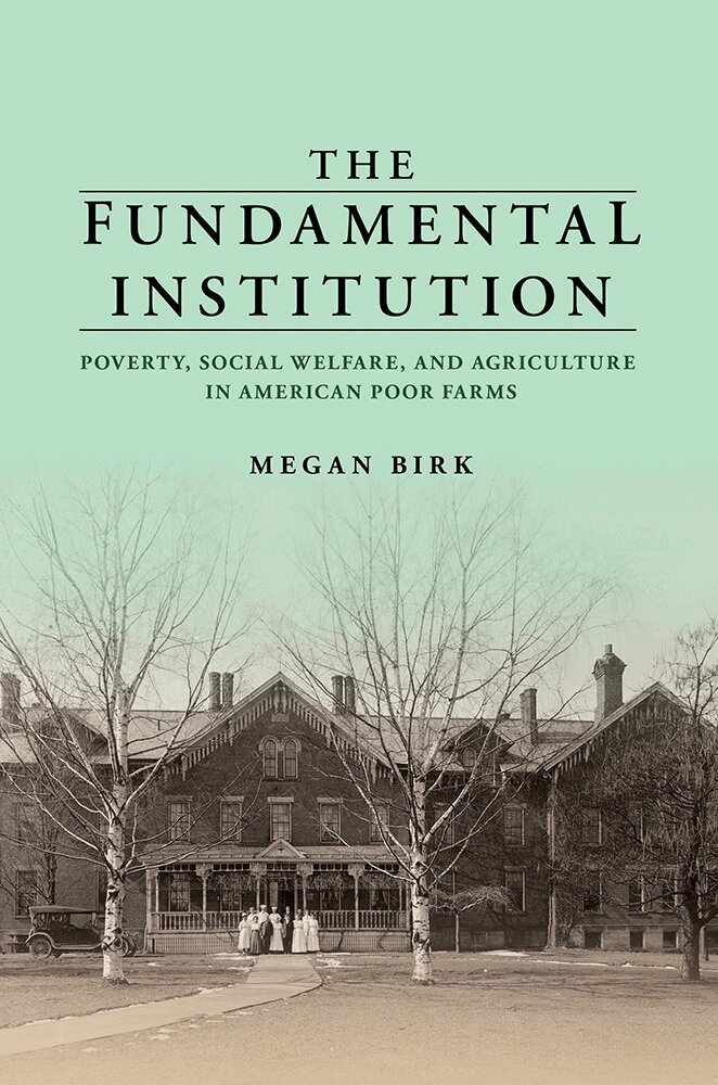 Megan Birk - Fundamental Institution, Inbunden