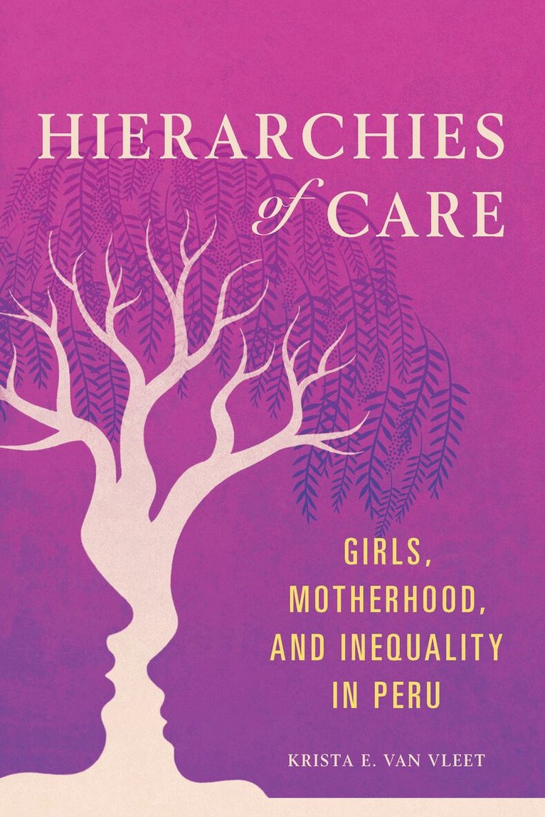Krista E Van Vleet - Hierarchies of Care, E-bok