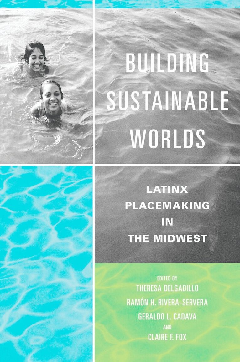 Theresa Delgadillo, Ramón H. Rivera-Servera, Geraldo L. Cadava, Claire F. Fox - Building Sustainable Worlds, E-bok