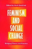 Heidi Gottfried - Feminism and Social Change, Häftad