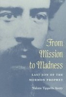 Valeen Tippetts Avery - From Mission to Madness, Häftad. Tillgänglighet: Lägg i varukorg