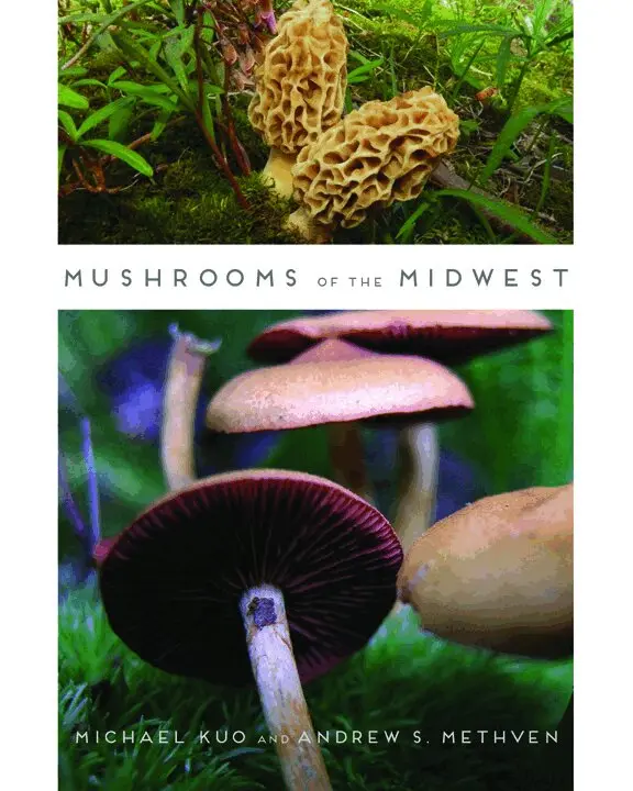 Michael Kuo, Andrew S. Methven - Mushrooms of the Midwest, Häftad. Tillgänglighet: Tillfälligt slut