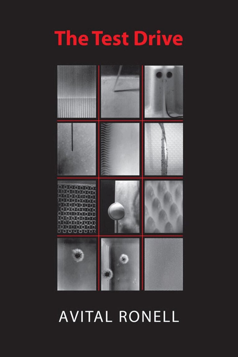 Avital Ronell - Test Drive, E-bok