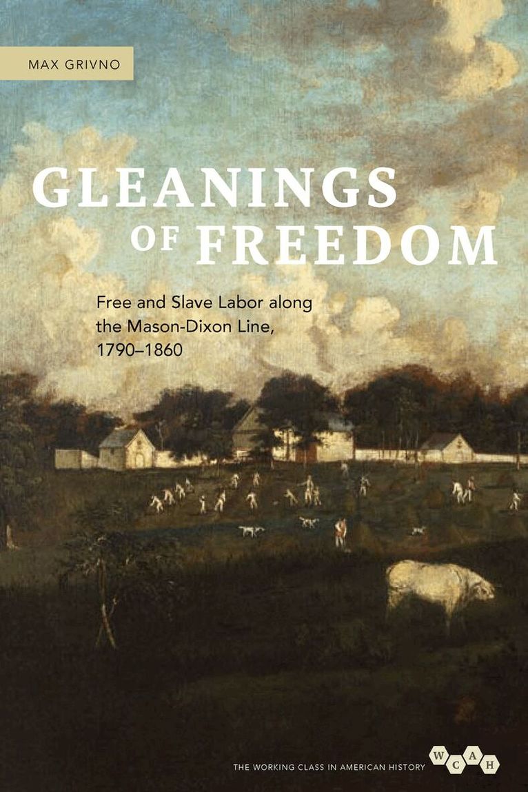 Max Grivno - Gleanings of Freedom, E-bok