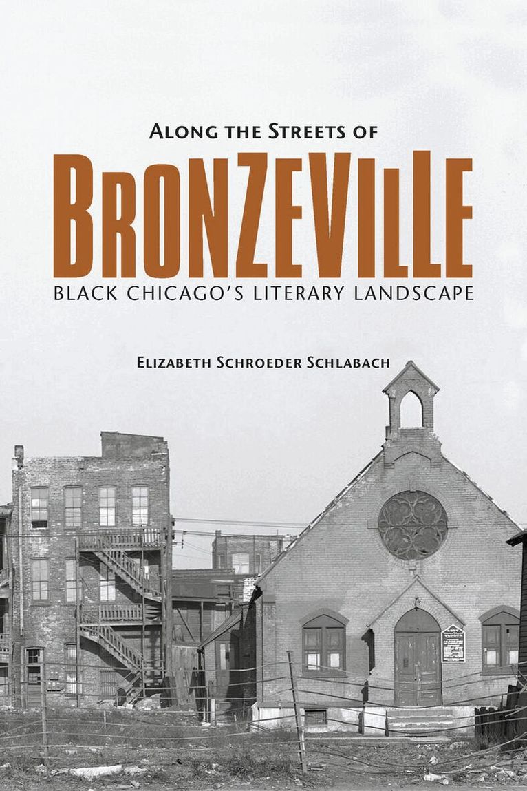Elizabeth Schroeder Schlabach - Along the Streets of Bronzeville, E-bok