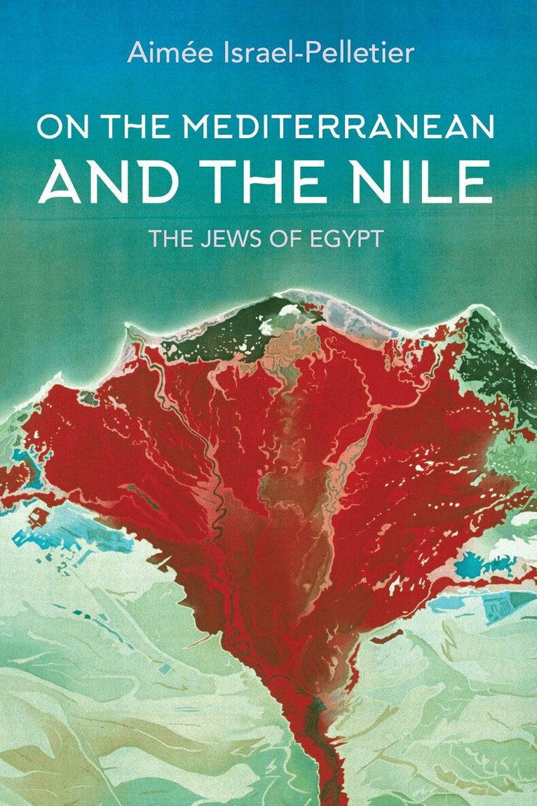 Aimée Israel-Pelletier - On the Mediterranean and the Nile, E-bok