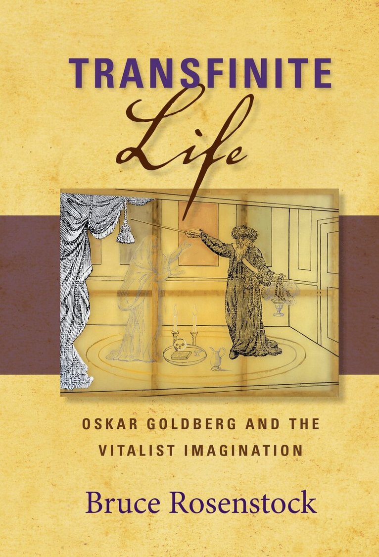 Bruce Rosenstock - Transfinite Life, E-bok