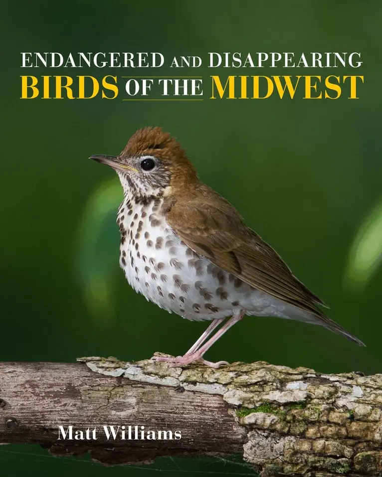 Matt Williams - Endangered and Disappearing Birds of the Midwest, Inbunden. Tillgänglighet: Tillfälligt slut