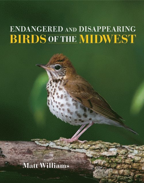 Matt Williams - Endangered and Disappearing Birds of the Midwest, E-bok