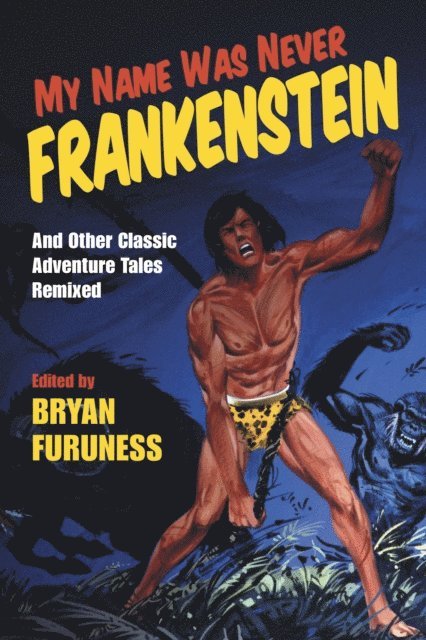 Bryan Furuness - My Name Was Never Frankenstein, E-bok