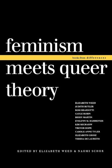 Feminism Meets Queer Theory av Naomi Schor, Elizabeth Weed