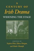 A Century of Irish Drama