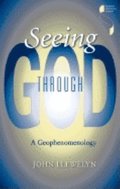 Seeing through God