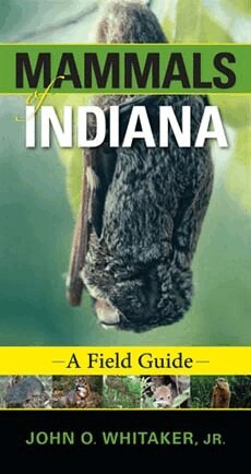 John O. Whitaker - Mammals of Indiana, Häftad. Tillgänglighet: Tillfälligt slut