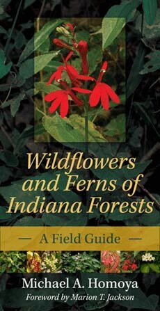 Michael A. Homoya - Wildflowers and Ferns of Indiana Forests, Häftad. Tillgänglighet: Tillfälligt slut