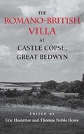 Romano-British Villa at Castle Copse, Great Bedwyn