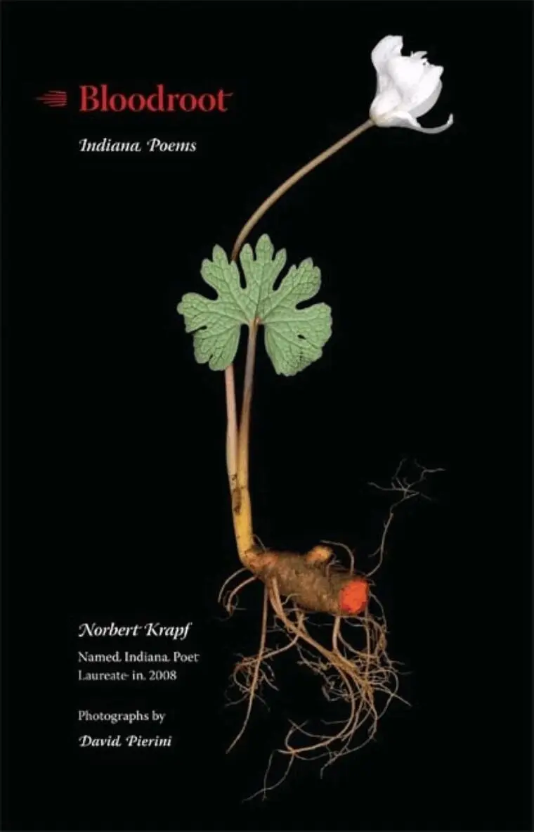 Norbert Krapf - Bloodroot, Häftad. Tillgänglighet: Lägg i varukorg