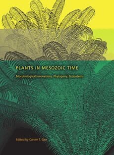 Carole T. Gee - Plants in Mesozoic Time, Inbunden. Tillgänglighet: Lägg i varukorg
