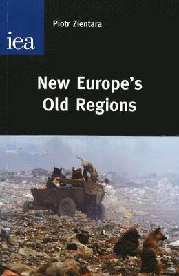 Piotr Zientara - New Europe's Old Regions, Häftad