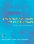 From Monkey Brain to Human Brain