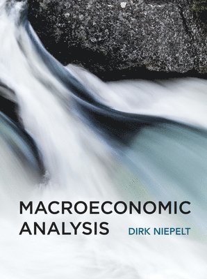 Macroeconomic Analysis av Dirk Niepelt