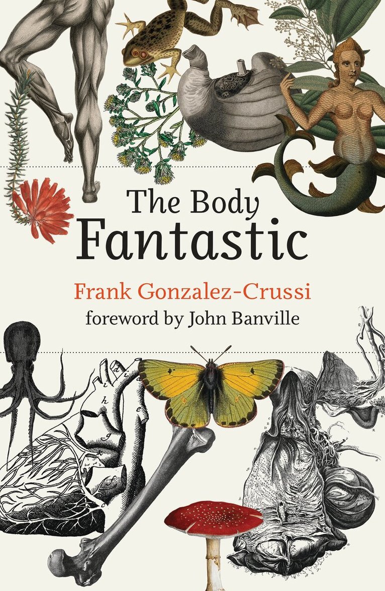 Frank Gonzalez-Crussi, John Banville - Body Fantastic, Inbunden