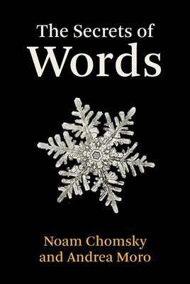 Secrets of Words av Noam Chomsky, Andrea Moro