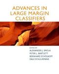 Advances in Large-Margin Classifiers