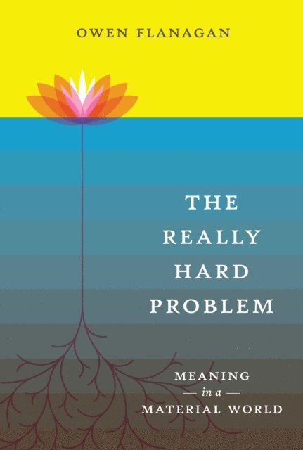 Owen Flanagan - Really Hard Problem, E-bok